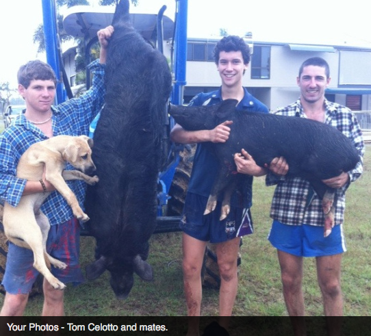 Screen Shot 2013-10-02 at 1.37.18 PM